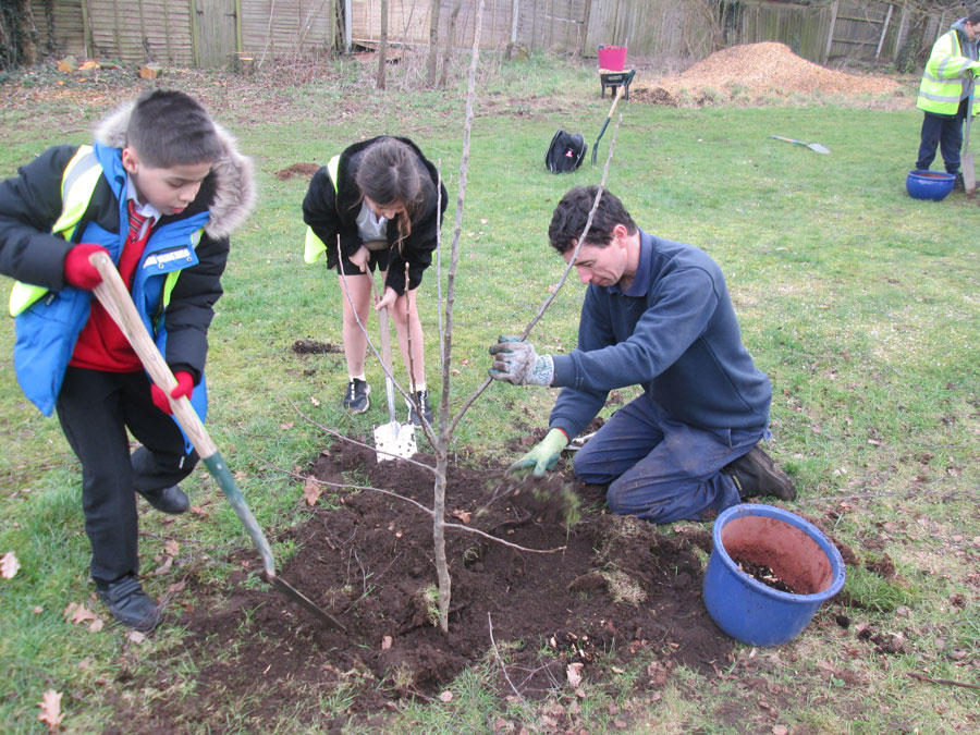 Community Orchard D and L w park ranger